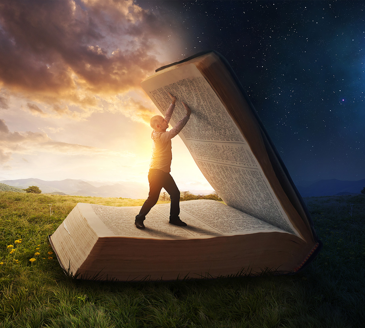 A woman looking at a wall of family photographs arranged around a hand-drawn family tree